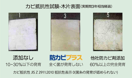 シロアリと防カビ対策