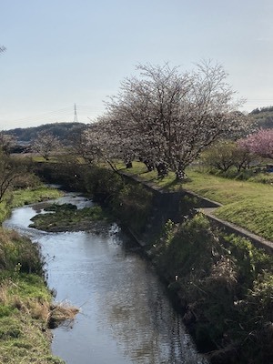 浸水危険　地盤改良