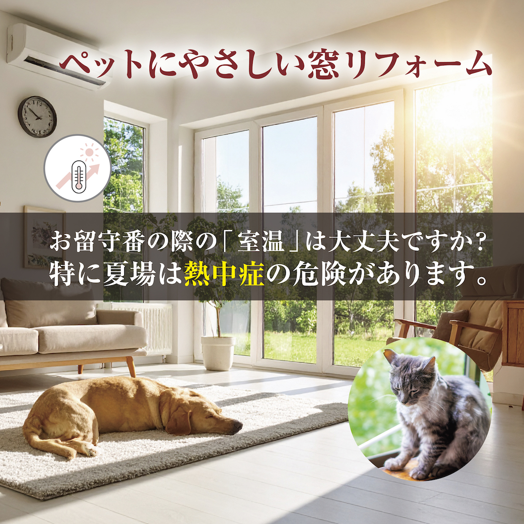ペットの暑さ対策